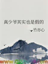 《真少爷其实也是假的》全本TXT下载-作者：竹亦心