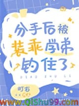 《分手后被装乖学弟钓住了》全本TXT下载-作者：町右