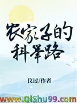 《农家子的科举路》全本TXT下载-作者：仪过