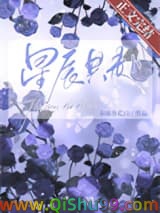 《星辰共赴[古穿未]》全本TXT下载-作者：春雨杏花白