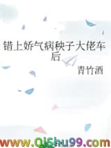 《错上娇气病秧子大佬车后》全本TXT下载-作者：青竹酒