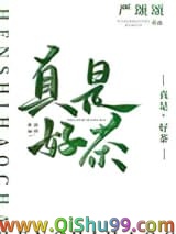 《真是，好茶！》全本TXT下载-作者：严颂颂