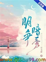 《明争暗秀》全本TXT下载-作者：二环北路