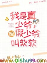《这豪门真少爷我不当了[娱乐圈]》全本TXT下载-作者：远上天山