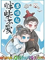 《胖柴不废要崛起》全本TXT下载-作者：酥油饼