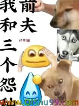 《我和三个怨种前夫》全本TXT下载-作者：妤芋