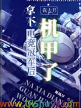 《拿下电竞冠军后我去开机甲了》全本TXT下载-作者：林风早