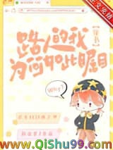 《路人的我为何如此瞩目[穿书]》全本TXT下载-作者：南辿星
