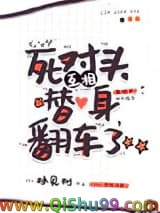 《死对头互相替身翻车了》全本TXT下载-作者：林见树