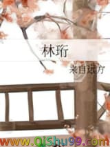 《林珩》全本TXT下载-作者：来自远方