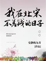 《我在北宋不差钱的日子》全本TXT下载-作者：安静的九乔