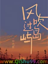 《风吹过岛屿》全本TXT下载-作者：几京