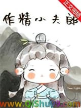 《作精小夫郎》全本TXT下载-作者：Seelight