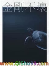 《金刚不坏》全本TXT下载-作者：里伞