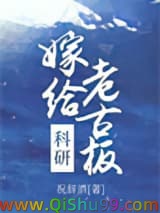 《嫁给科研老古板》全本TXT下载-作者：祝辞酒