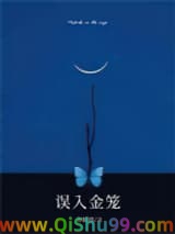 《误入金笼》全本TXT下载-作者：贺新郎