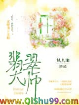 《翡翠大师》全本TXT下载-作者：凤九幽