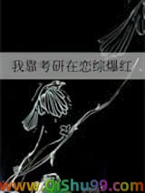 《我靠考研在恋综爆红》全本TXT下载-作者：雕雕子