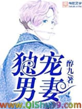 《独宠男妻》全本TXT下载-作者：醇九