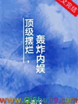 《顶级摆烂，轰炸内娱》全本TXT下载-作者：宁悬
