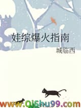 《娃综爆火指南》全本TXT下载-作者：城临西