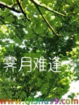 《霁月难逢》全本TXT下载-作者：子鹿