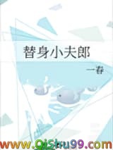 《替身小夫郎》全本TXT下载-作者：一春