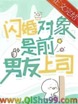 《闪婚对象是前男友上司》全本TXT下载-作者：解冻湖水
