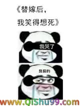 《替嫁后我笑得想死》全本TXT下载-作者：明桂载酒