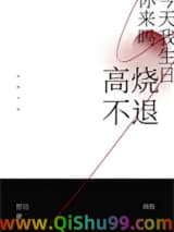 《高烧不退》全本TXT下载-作者：苦司