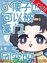 《小傻子也可以被豪门团宠吗》全本TXT下载-作者：上苍