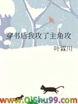 《穿书后我攻了主角攻》全本TXT下载-作者：叶霖川
