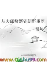 《从夫郎赘婿到朝野重臣》全本TXT下载-作者：易旬