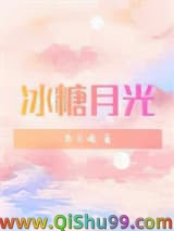《冰糖月光》全本TXT下载-作者：木三观