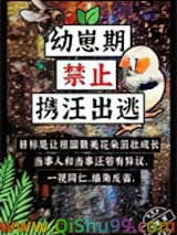 《幼崽期禁止携汪出逃》全本TXT下载-作者：元赞
