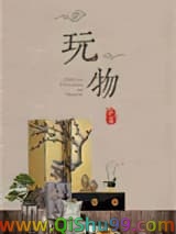 《玩物》全本TXT下载-作者：江亭