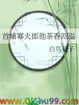 《首辅寡夫郎他茶香四溢》全本TXT下载-作者：白鸟童子