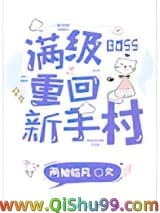 《满级BOSS重回新手村》全本TXT下载-作者：两袖临风