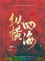 《纵横四海》全本TXT下载-作者：凌伊丶