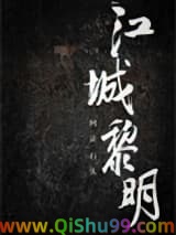 《江城黎明》全本TXT下载-作者：风徒石头