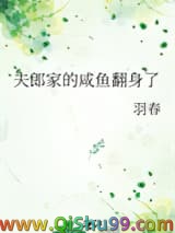 《夫郎家的咸鱼翻身了》全本TXT下载-作者：羽春