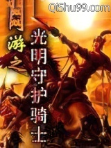 《网游之光明守护骑士》全本TXT下载-作者：骑士的守护