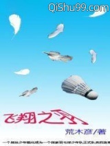 《飞翔之羽》全本TXT下载-作者：荒木彦