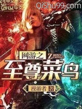 《网游之至尊菜鸟》全本TXT下载-作者：漫游者