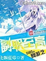 《网游之副职至高》全本TXT下载-作者：七颗蓝莓