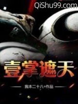 《壹掌遮天》全本TXT下载-作者：我本二十八