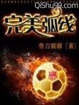 《完美弧线》全本TXT下载-作者：带刀刺猬