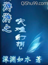 网游之灾难幻想图片