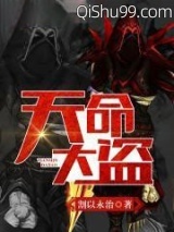 《天命大盗》全本TXT下载-作者：割以永治