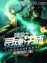 《网游之灵魂法师》全本TXT下载-作者：细雨枯叶